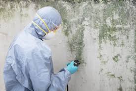 Best Comprehensive Air Testing for Mold Contaminants  in Laurel Park, NC